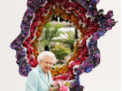 Insta pics Chelsea Flower Show & de nieuwe Chrysant 'Rossano Charlotte'