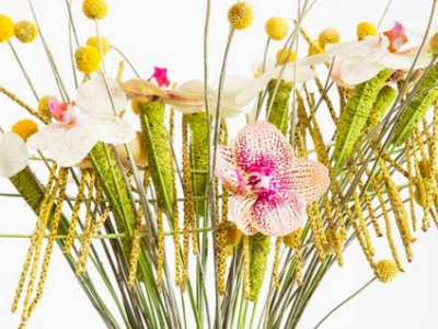 Today it is International Women's Day 2016