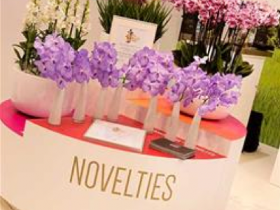 Nederland valt in de prijzen op IPM Essen