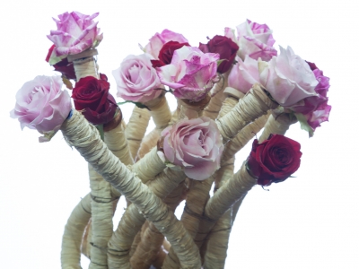 Bijzonder bloemwerk op IPM 2017