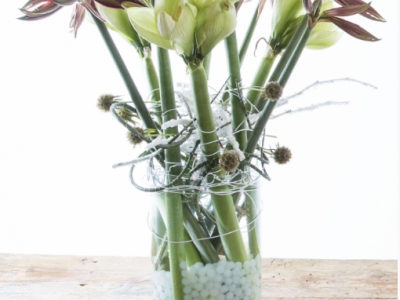 De Amaryllis op de agenda